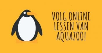 Dierentuin AquaZoo gaat online les geven