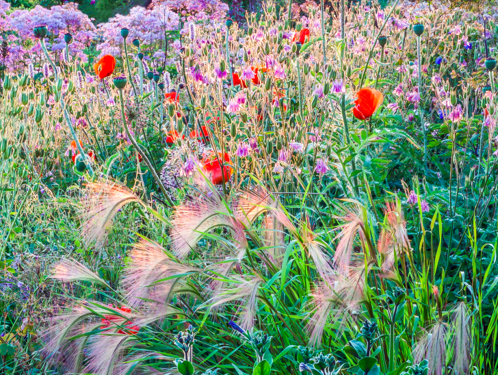 Tuinieren in samenwerking met de natuur