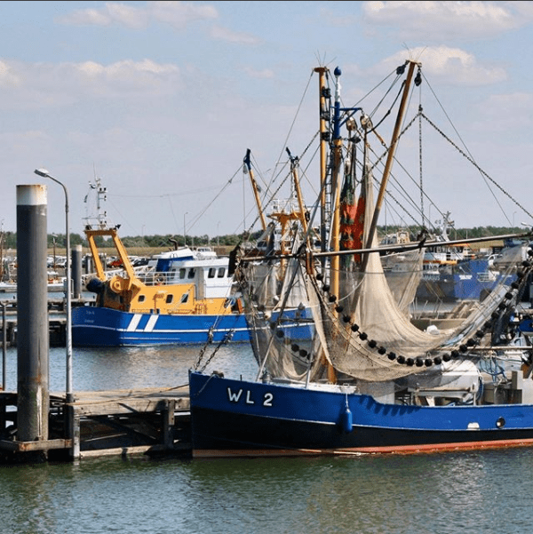 Haven Lauwersoog audiotour