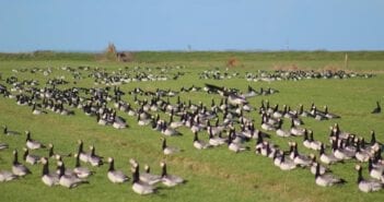 Fokko Bosker zoekt naar monumentaal natuurfenomeen