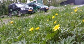 Minder maaien voor meer bijen en vlinders