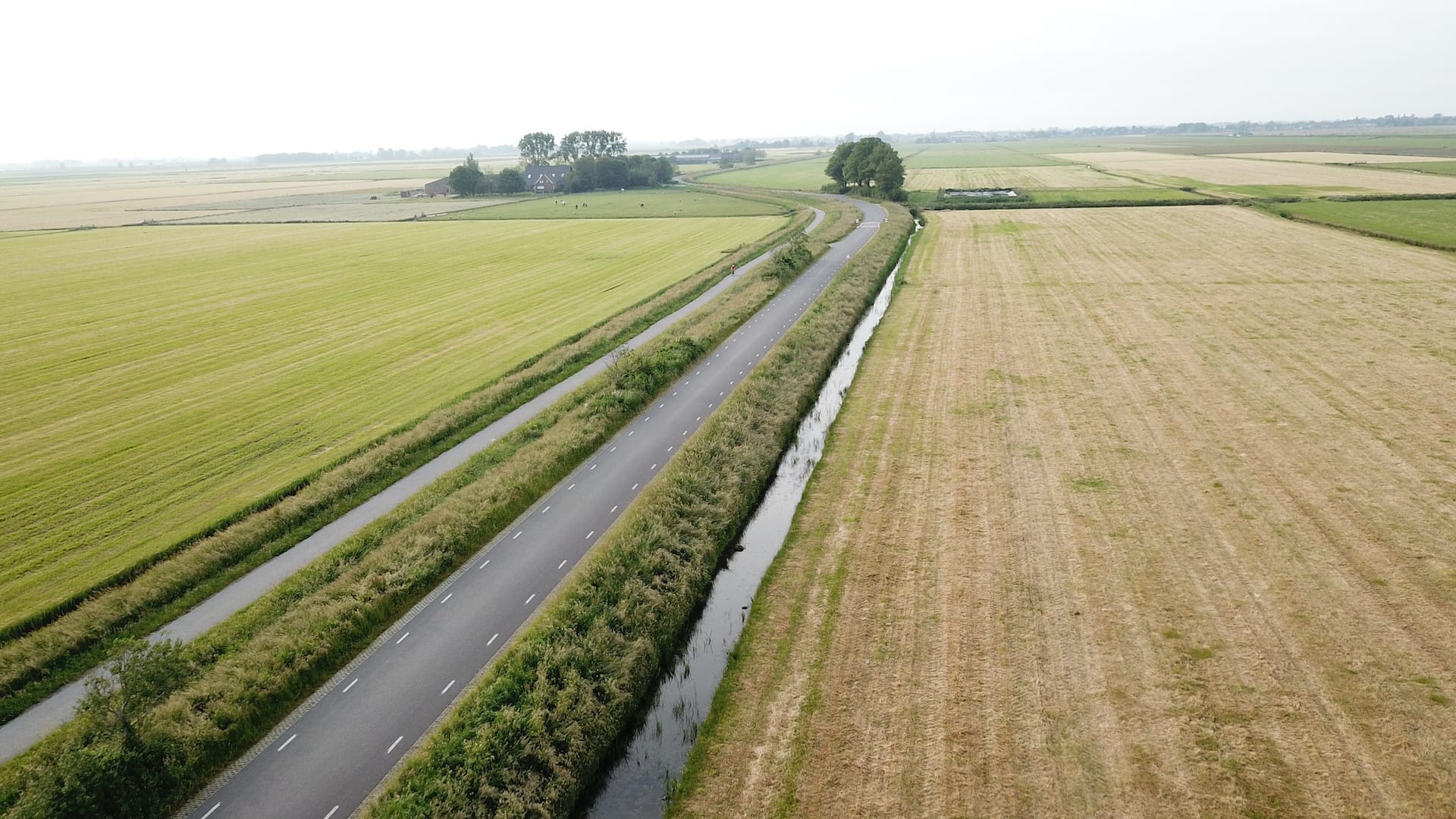 Fryslân onthaast gedwongen