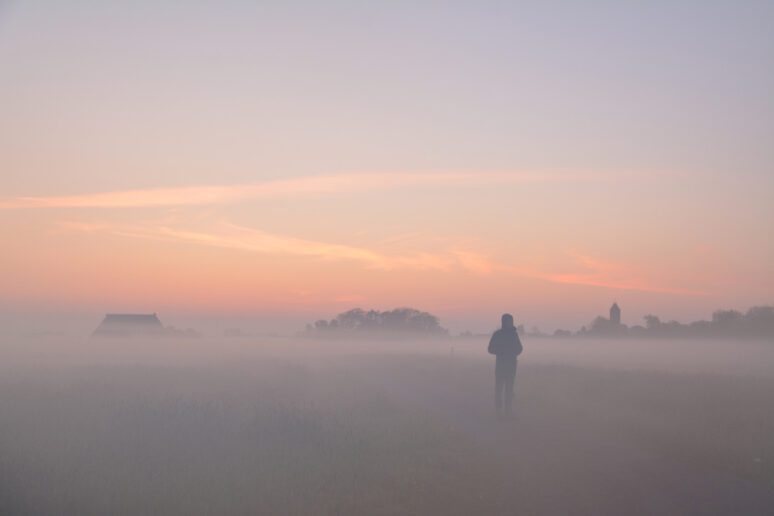 Nije Eagen libbenslinen