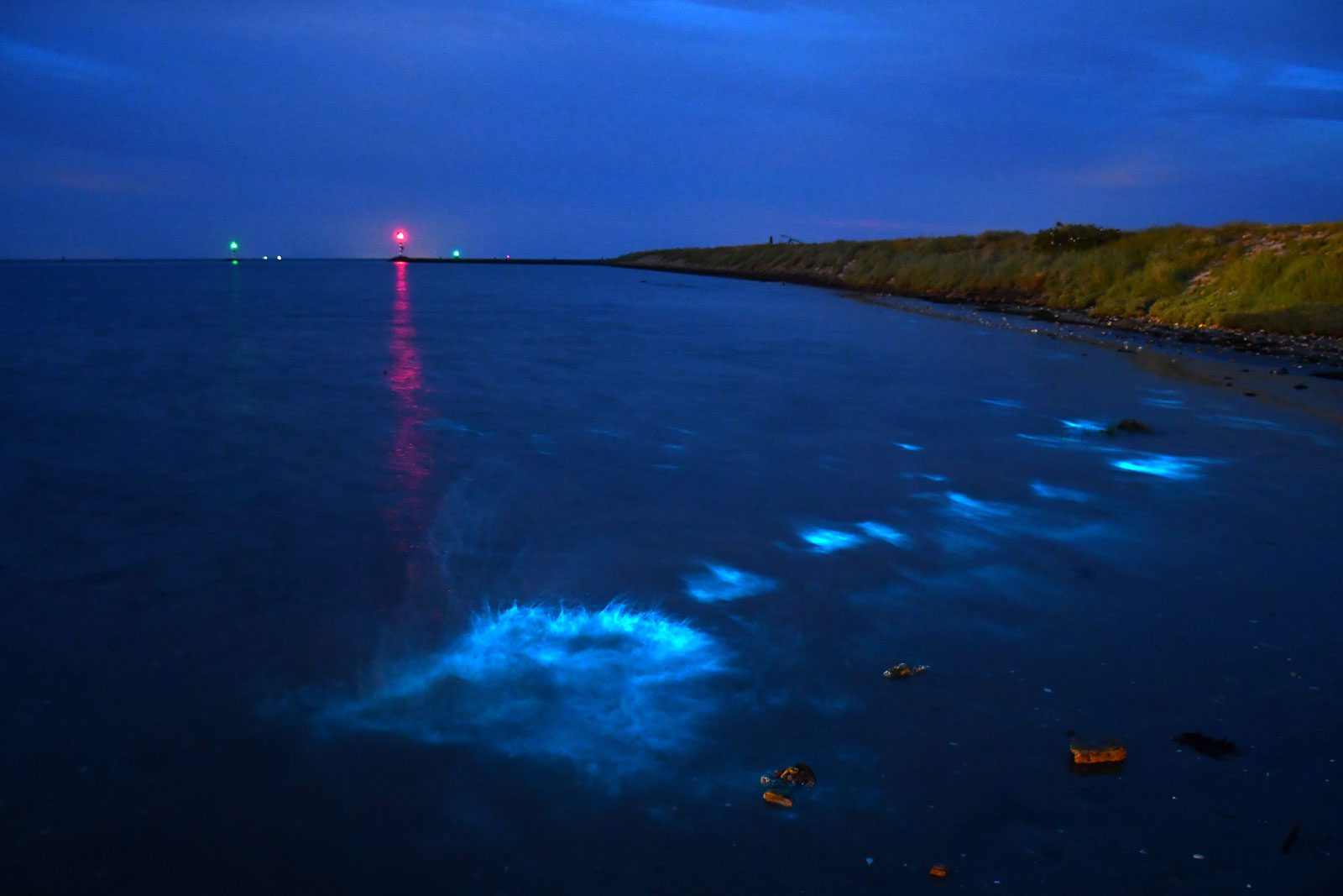 Magische lichtjes in de nachtelijke zee