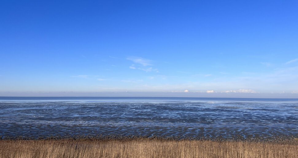 ‘Korsttyd Koier’ in de Westhoek op tweede kerstdag
