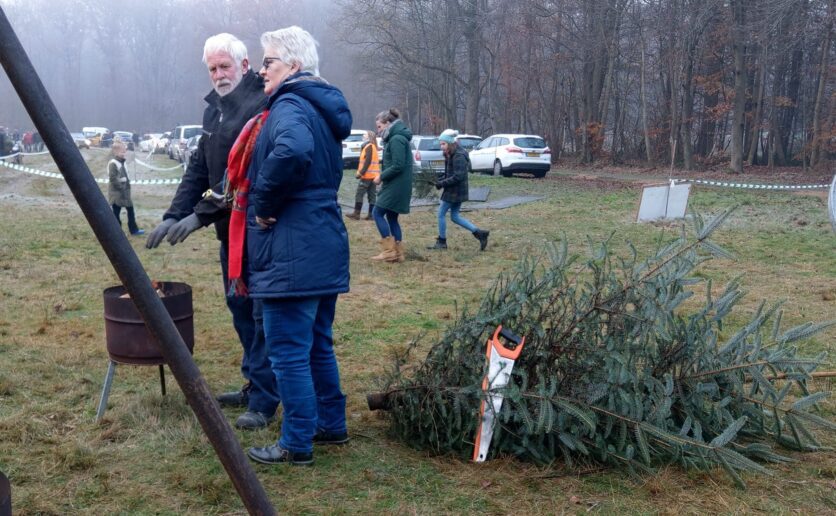Succesvol kerstboom zagen in Kuinderbos