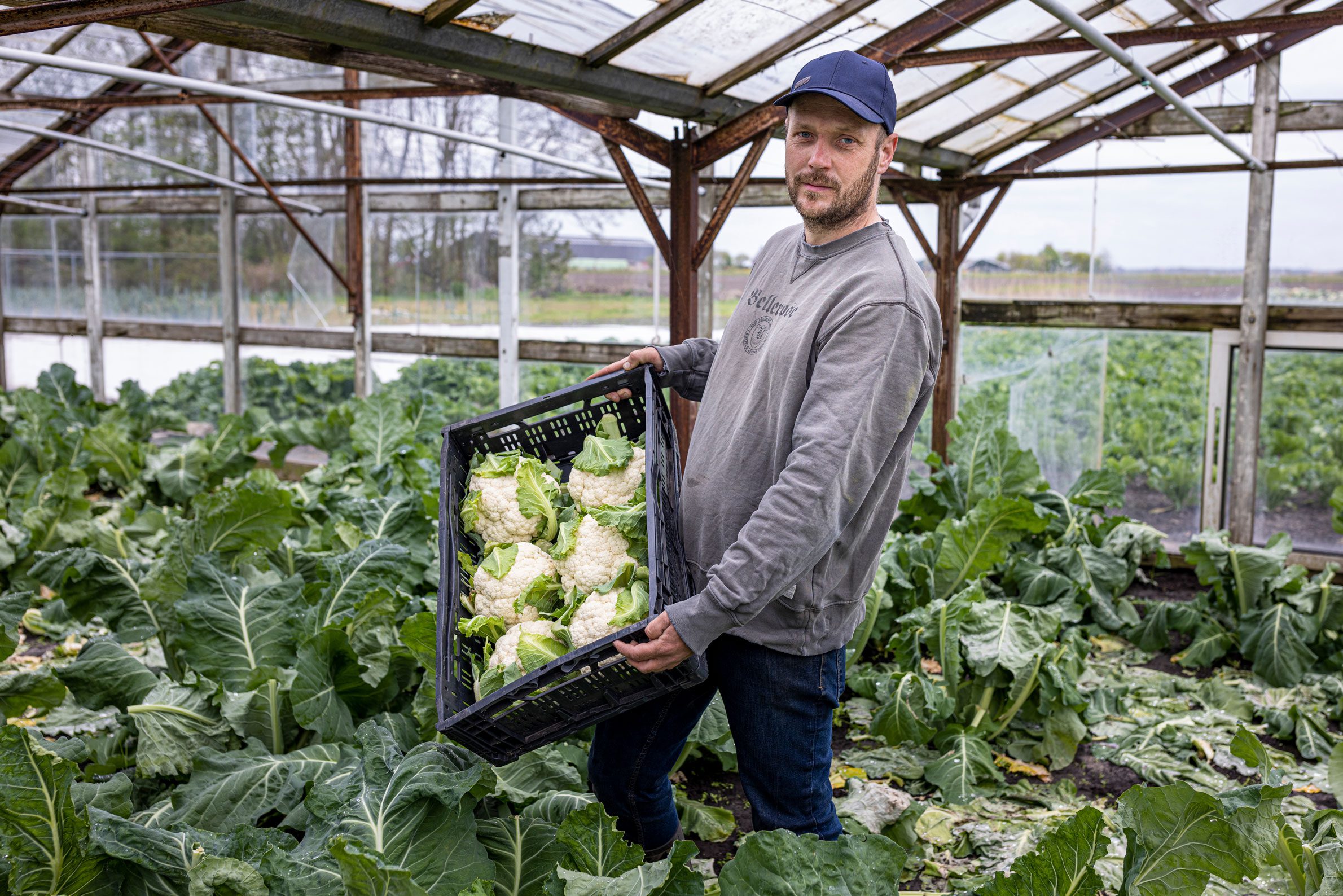 Streekproduct: Bloemkool uit Koudum