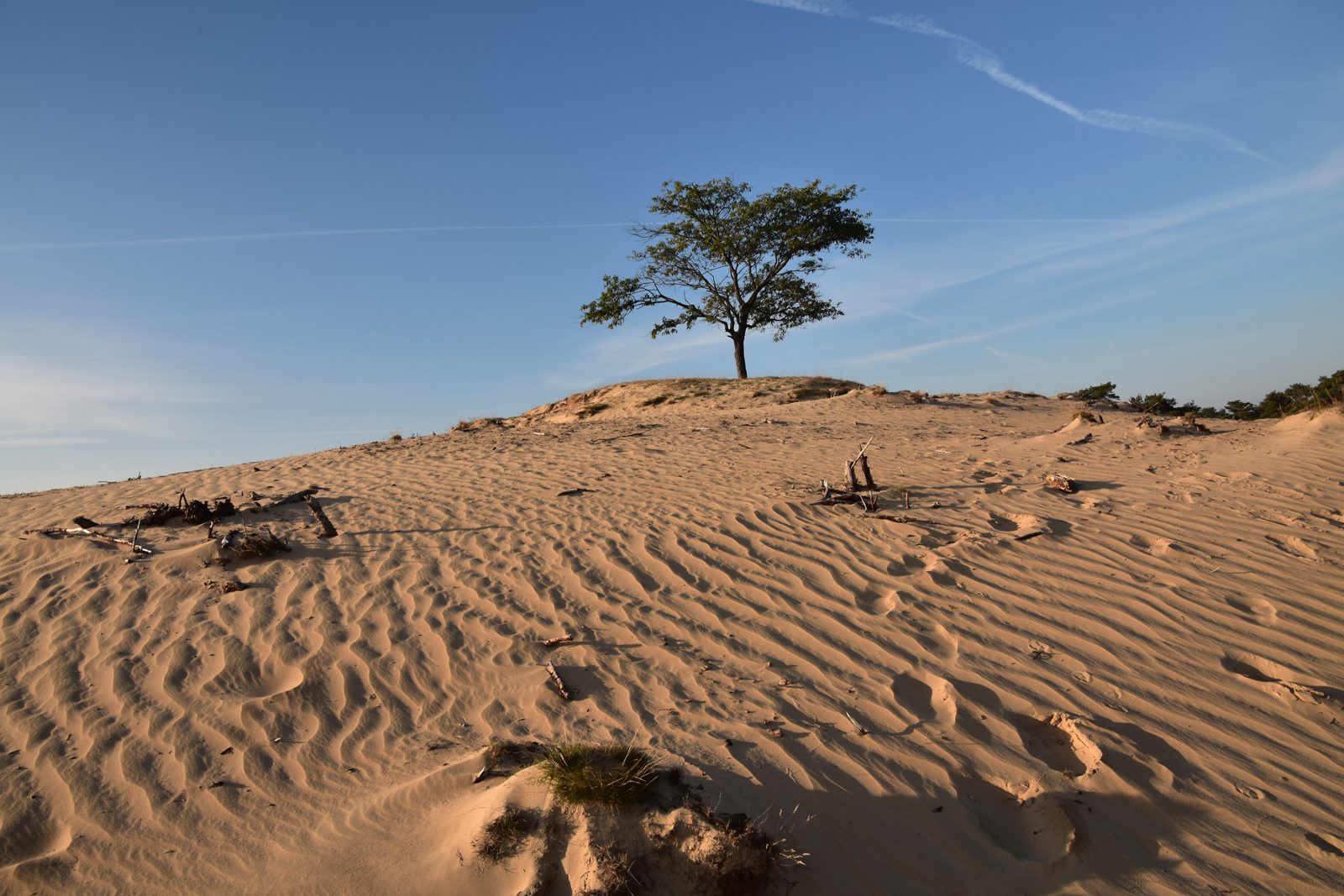 Op stap door het Aekingerzand