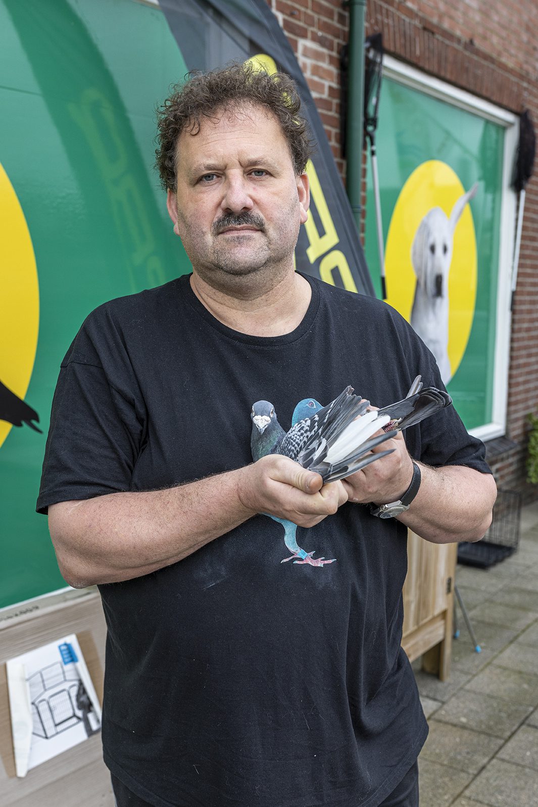 Tjipke Rottiné is duivenspecialist van Fryslân