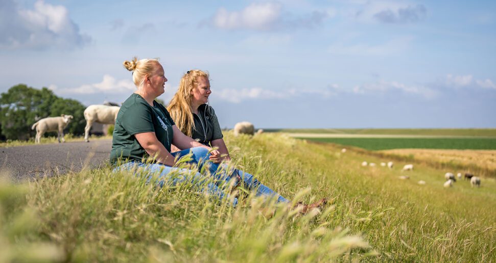 Bildtse Smaakroete breidt opnieuw uit