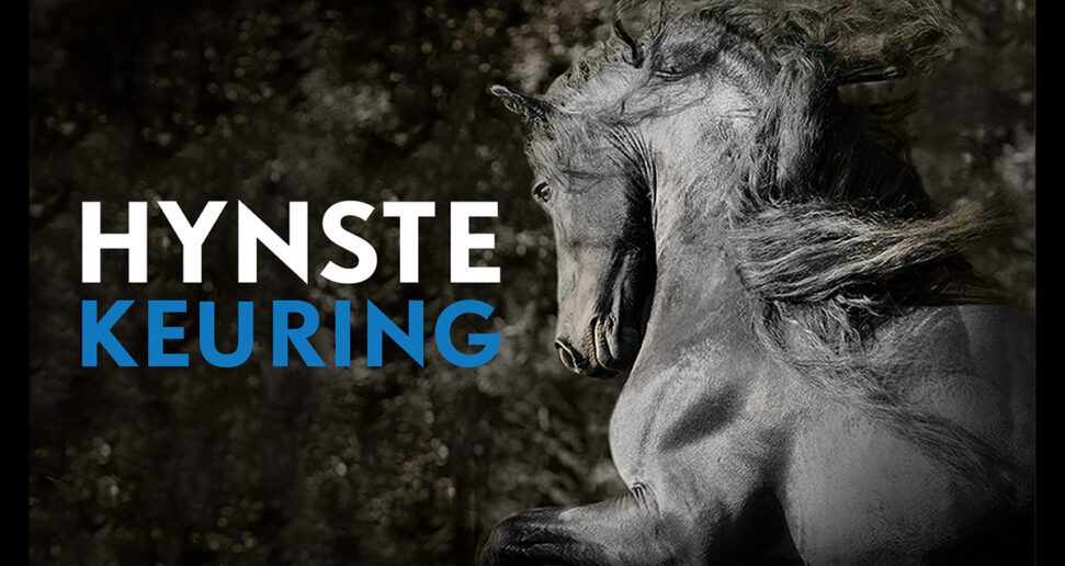 Volledige Hengstenkeuring te zien bij Omrop Fryslân