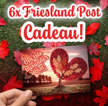 Friesland Post halfjaarabonnement cadeau (6x)
