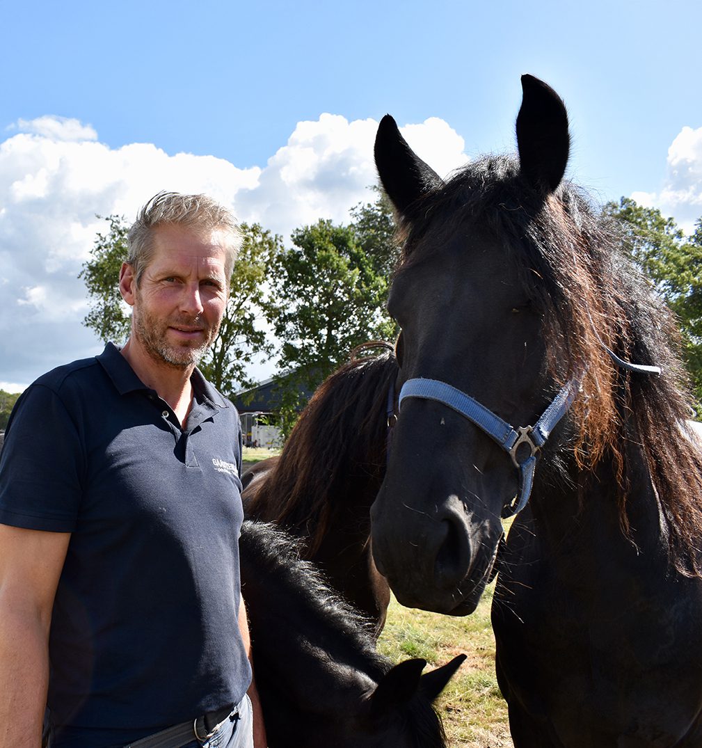 Paarden met een ster